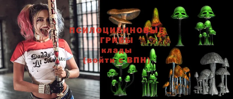 Псилоцибиновые грибы Magic Shrooms  Бутурлиновка 